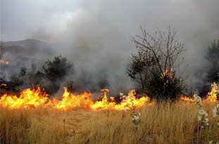مهار آتش سوزی در دونقطه از شهرستان باشت