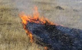 آتش سوزی در مراتع و منابع طبیعی موگر بویراحمد