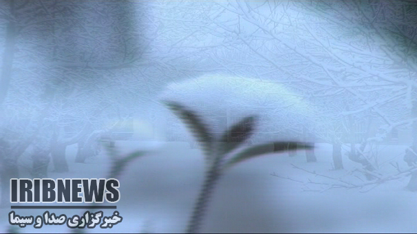 بارش برف در زنجان تا ظهر امروز ادامه می یابد . بارش برف در زنجان تا ظهر امروز ادامه می یابد .