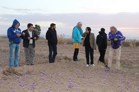 افزایش 3 برابری بازدید گردشگران خارجی از خراسان جنوبی