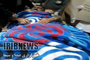 از ریزش کوه تا فوت کودک براثر عقرب گزیدگی