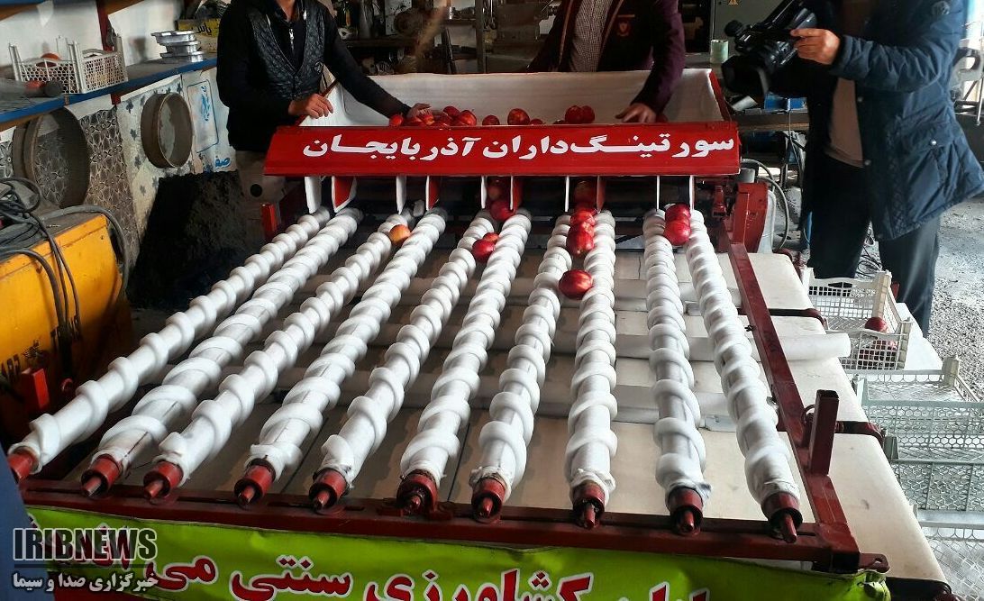 تولید انبوه دستگاه سورتینگ مرکبات در نقده