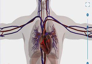 آیا از بدن خود خبر دارید؟ آیا از بدن خود خبر دارید؟