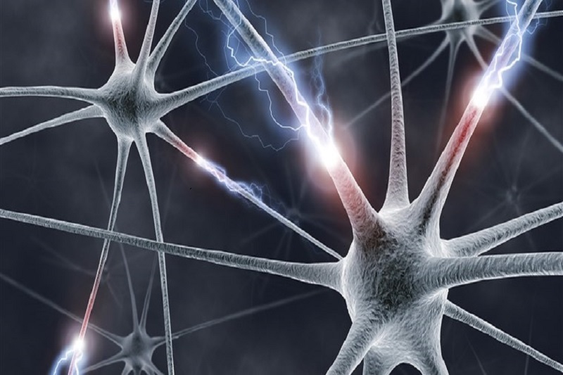 اندازه گیری دمای مغز به کمک یک کاوشگر کوچک! اندازه گیری دمای مغز به کمک یک کاوشگر کوچک!