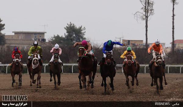 ستار مهرانی؛ چابکسوار برتر هفته یازدهم کورس گنبدکاووس ستار مهرانی؛ چابکسوار برتر هفته یازدهم کورس گنبدکاووس