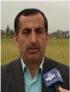 شرایط مناسب آماده سازی شالیزارها