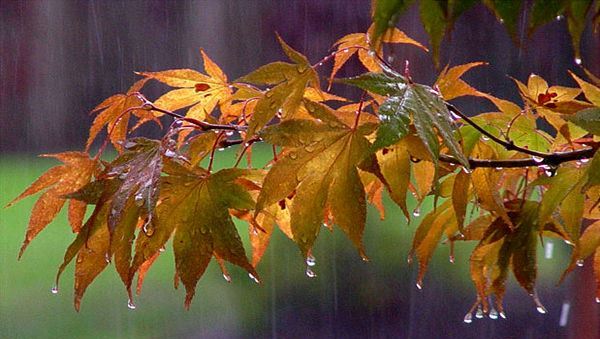 جو ناپایدار گیلان و کاهش شدید دما در روزهای آینده