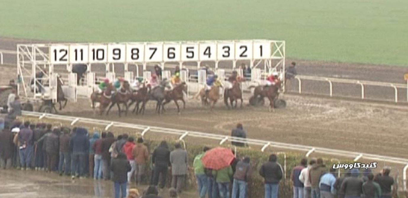 نتایج نخستین هفته سوارکاری بهاره گنبد کاووس