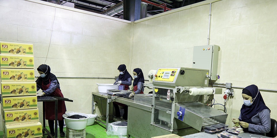 راه اندازی واحد بسته بندی مواد غذایی در شهرستان کرمانشاه