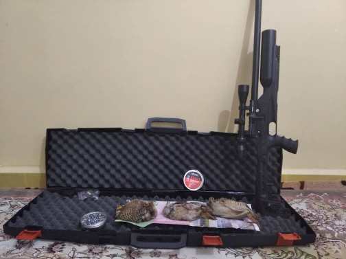 شکارچی متخلف در قلعه گنج در کمند قانون