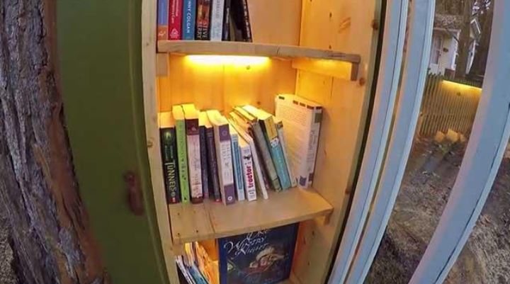 کتابخانه‌ای در دل یک درخت! +تصاویر