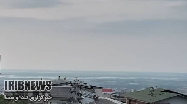 کشت امید کشت امید