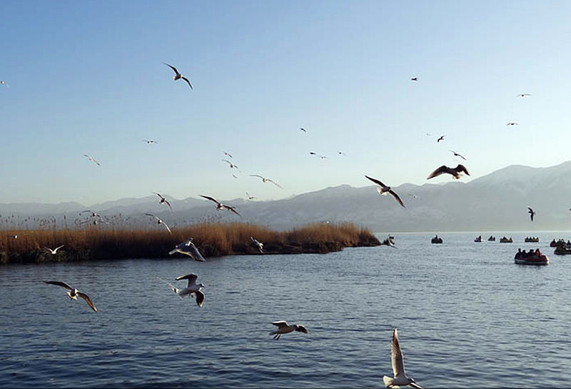 زریبــار در گذرگاه جهانی شدن... زریبــار در گذرگاه جهانی شدن...
