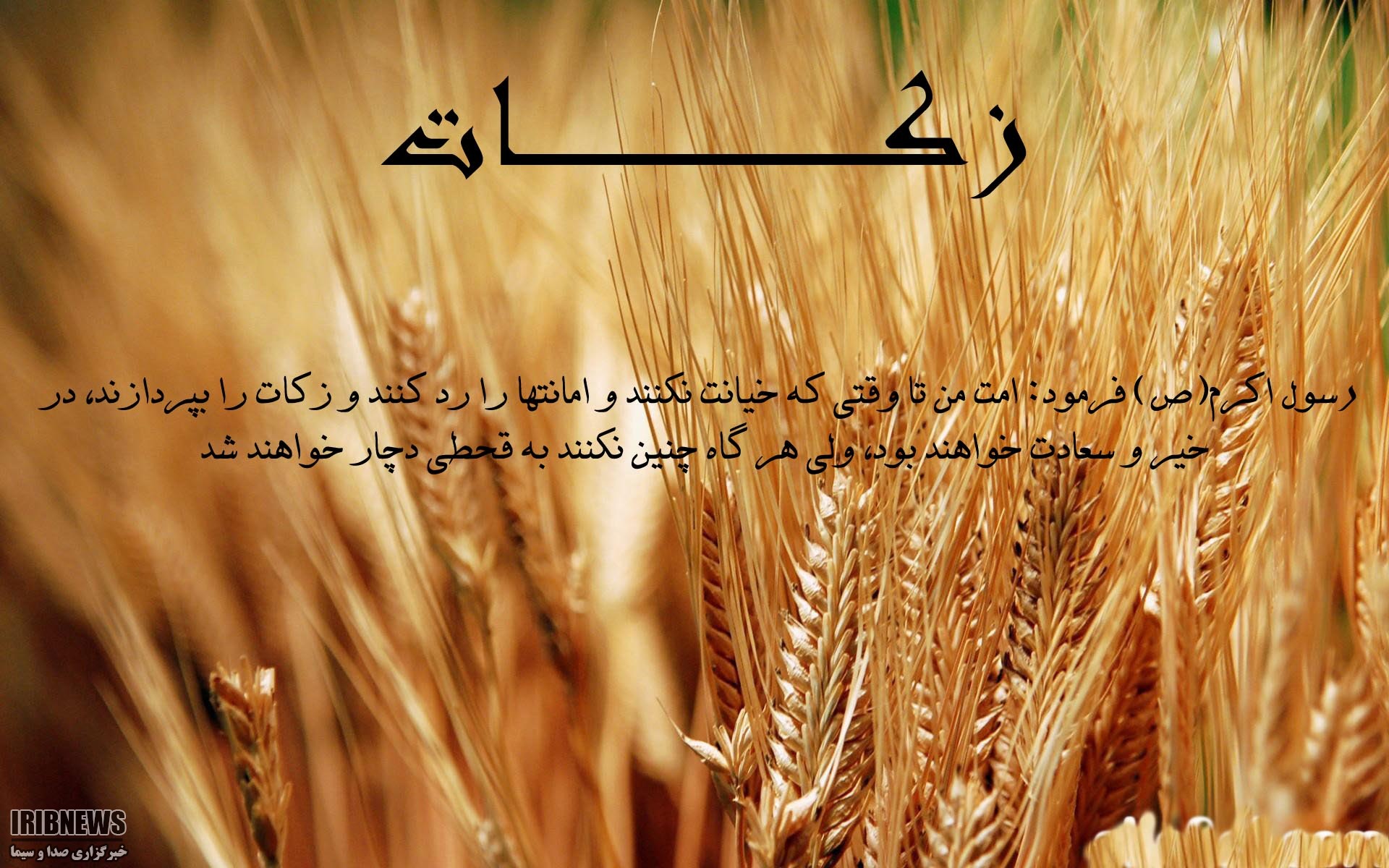 کسب مقام اول پرداخت زکات برای ده سال متوالی در مهاباد کسب مقام اول پرداخت زکات برای ده سال متوالی در مهاباد