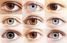 آیا از خواص تخمه کدو برای سلامتی مطلع هستید ؟