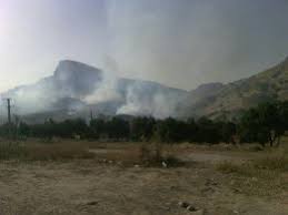 برگزاری مانور اطفاء حریق در منطقه حفاظت شده باشگل تاکستان