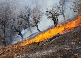 آتشی دوباره بر دامان کوه رباط