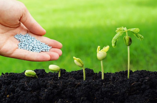 افزایش تولید داخلی کودهای کشاورزی