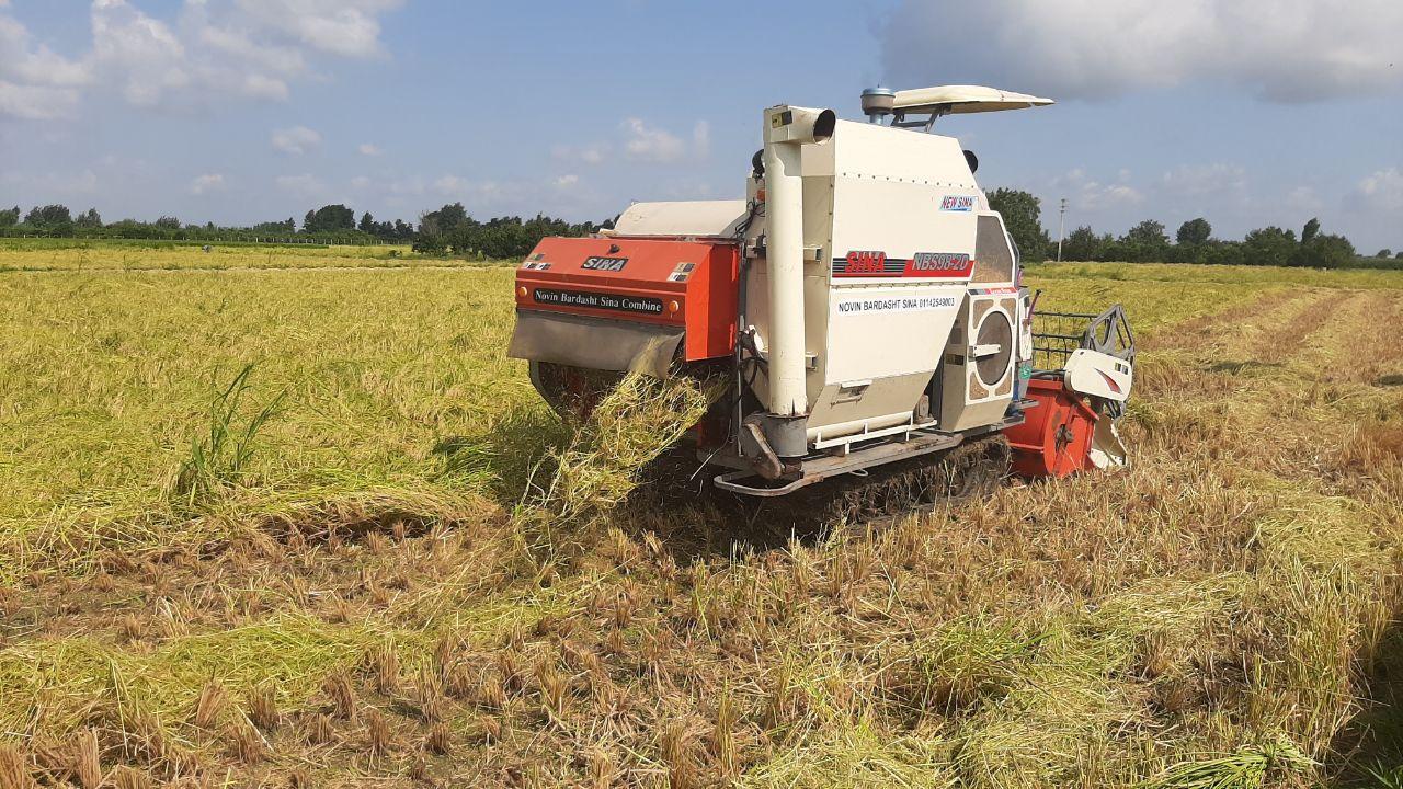 رتبه نخست قائم شهر در کشت مکانیزاسیون برنج