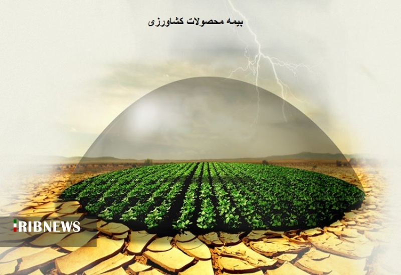 جهش تولید در بخش کشاورزی با افزایش 