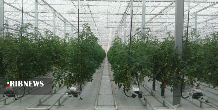 جهش تولید در بخش کشاورزی با افزایش 