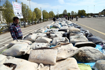 افزایش ۸۱ درصدی کشف مواد مخدر در آذربایجانغربی افزایش ۸۱ درصدی کشف مواد مخدر در آذربایجانغربی