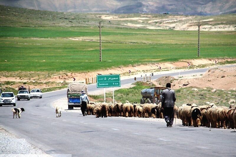 ورود عشایر به مناطق ییلاقی بویراحمد ممنوع است