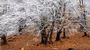 زیبایی برف و طراوت هوا در گلستان