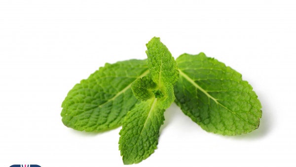 درمان نفخ معده