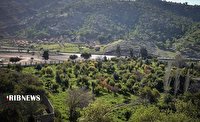 باغ چشمه بلقیس کجاست؟