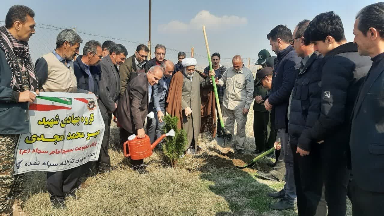 کاشت ۲۶۰ نهال در یادمان شهید بروجردی به یاد ۲۶۰ شهید