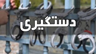 دستگیری ۸ قاچاقچی ارز در فرودگاه‌های کشور