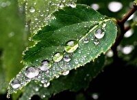 آسمان در تدارک آب و جاروی زمین