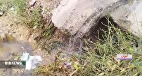 پسماند‌ها مشکلی جدی بر سر راه کشاورزان ایوانی