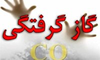 مرگ یک زوج جوان بر اثر مسمومیت با گاز مونوکسیدکربن در همدان