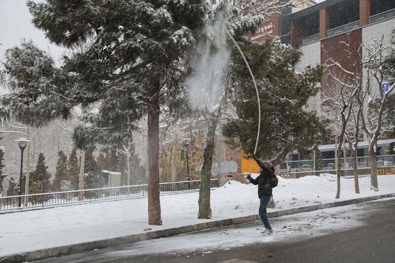 مردم در هنگام درختتکانی مراقب خطوط ۲۰ کیلوولت برق باشند مردم در هنگام درختتکانی مراقب خطوط ۲۰ کیلوولت برق باشند