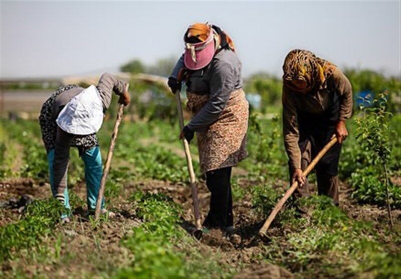 اجرای طرح روستای بدون مددجوی بیکار در خوزستان