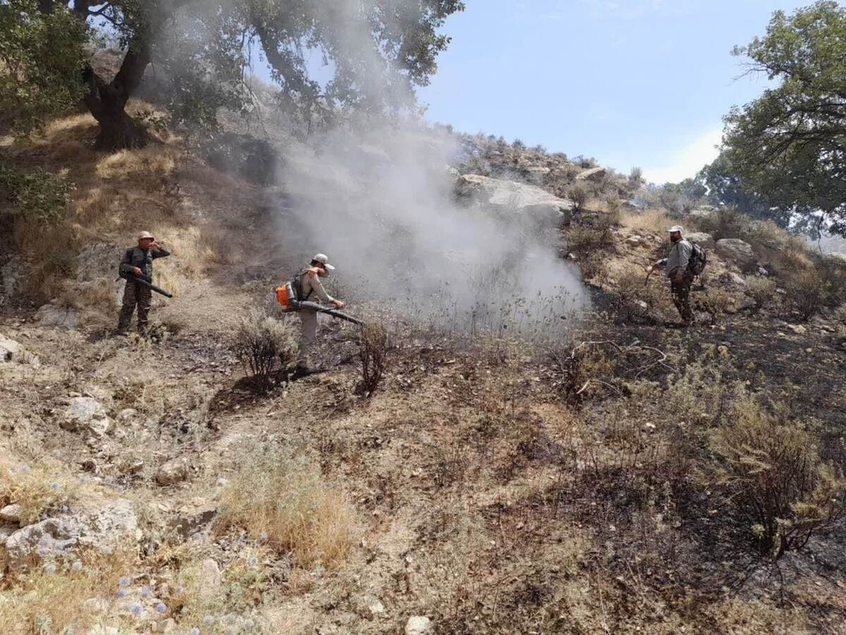 آتش سوزی کوه خامی در گچساران