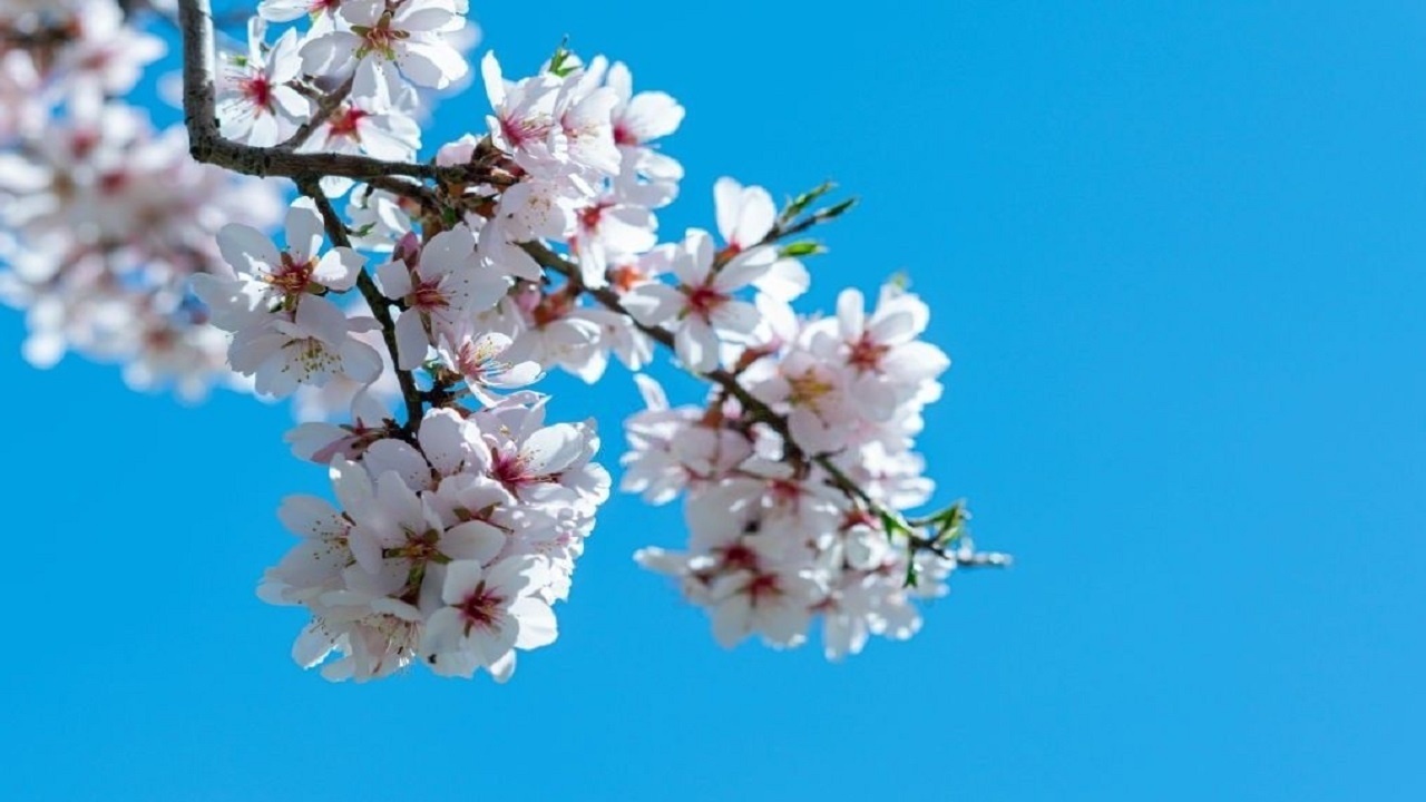 افزایش نسبی دما در آذربایجان غربی