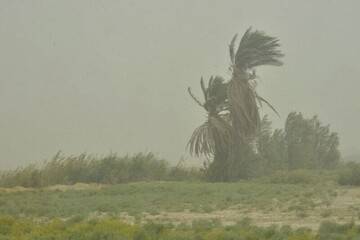 وزش باد و گرد و خاک در جنوب غرب خوزستان