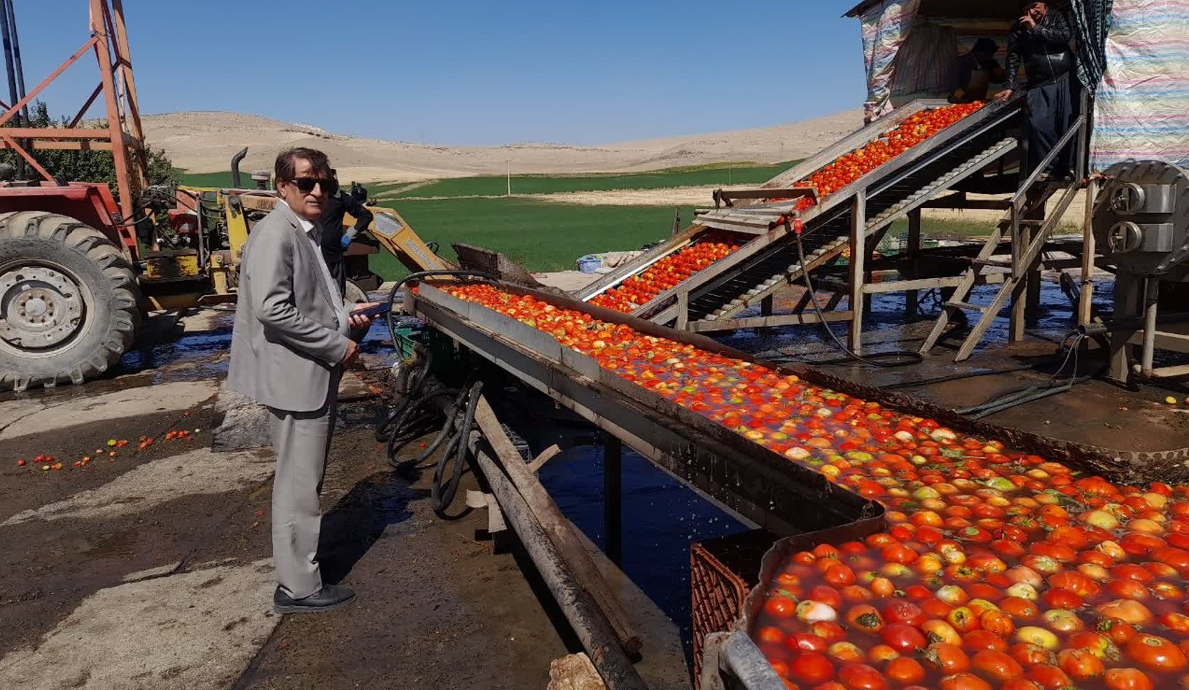 روند خرید گوجه‌فرنگی در آذربایجان غربی مطلوب است