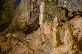 پویش ملی کلاه‌ها روی زمین؛ حمایت غارنوردان ایران از خواب زمستانی خفاش‌ها