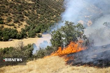 ۸۶ هکتار از عرصههای طبیعی بجنورد امسال طعمه آتش شد ۸۶ هکتار از عرصههای طبیعی بجنورد امسال طعمه آتش شد