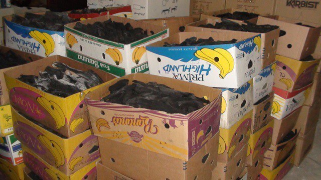 کشف محموله زغال تاغ قاچاق در شاهرود