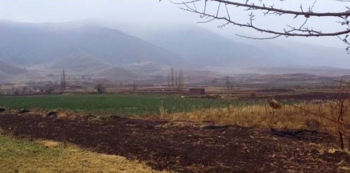 بارش باران در بیش از ۱۴ شهرستان خراسان رضوی بارش باران در بیش از ۱۴ شهرستان خراسان رضوی