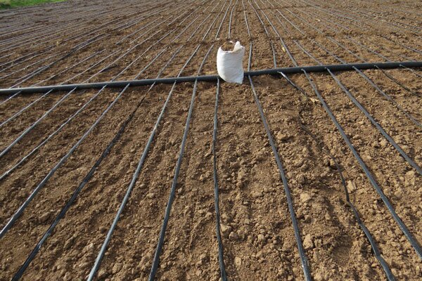 بهره برداری از بیش از ۵۰ درصد طرح‌های آبیاری تحت فشار در آذربایجان‌غربی