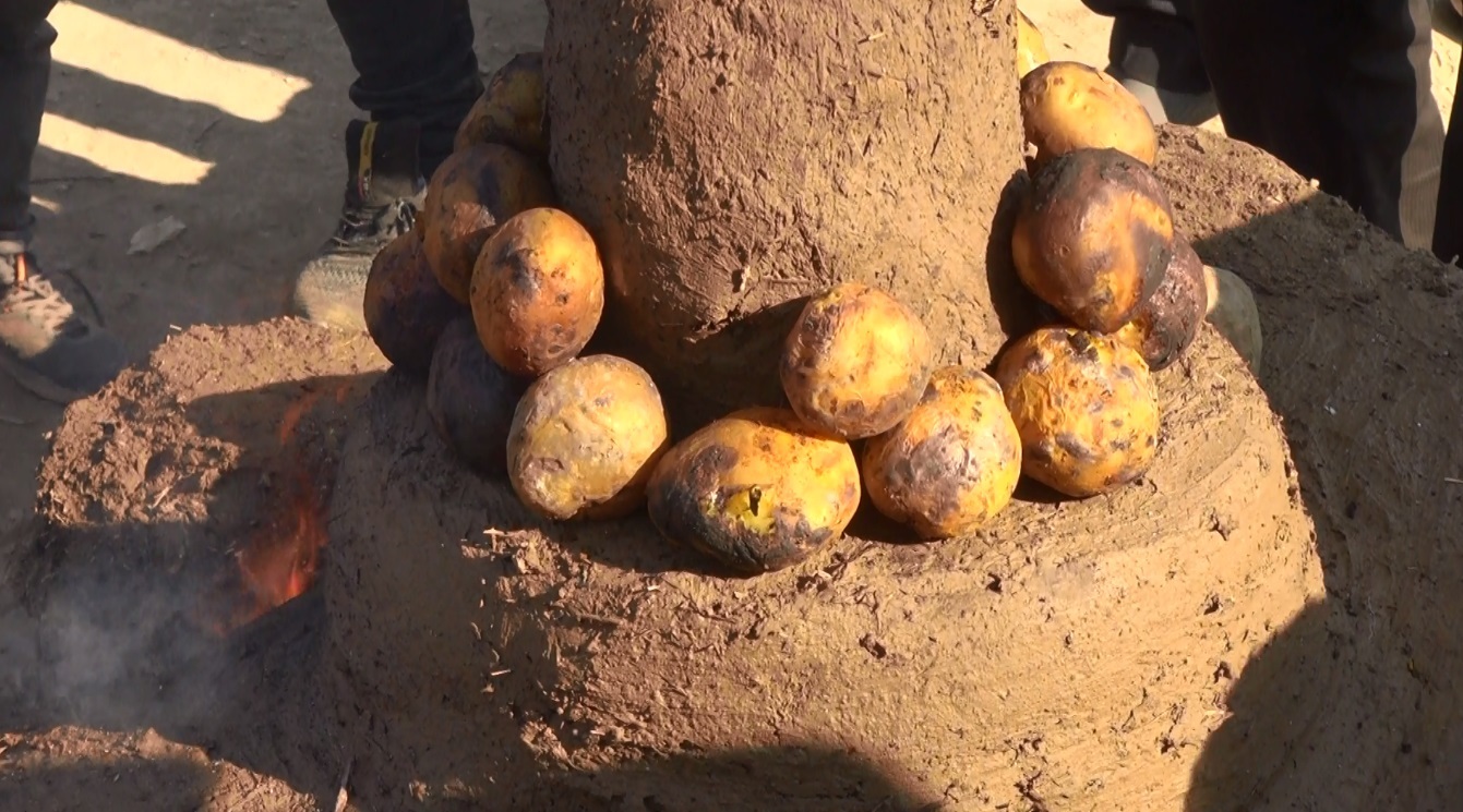 انفجار هیجان در جشنواره ای با طعم سیب زمینی