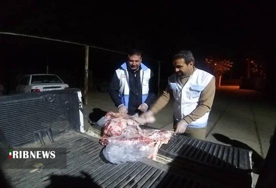 کشف محموله گوشت غیر بهداشتی در یاسوج و دستگیری متخلفان