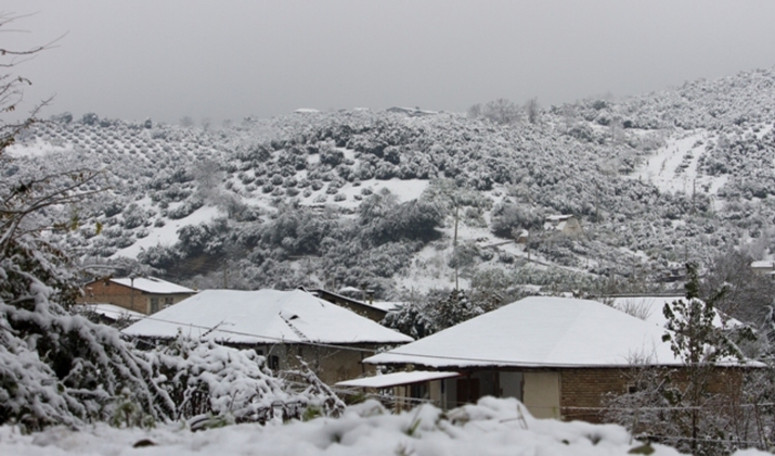 عکس:جواد مظفری سوادکوهی