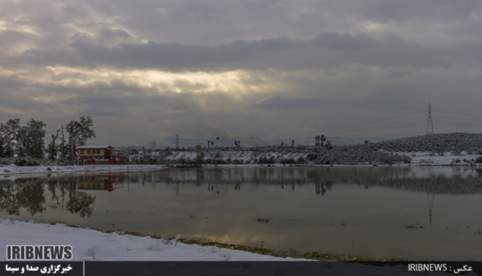 عکس:جواد مظفری سوادکوهی